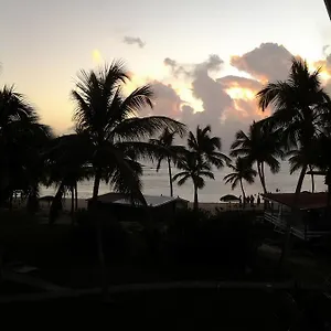 Cocotiers Et Pieds Dans L'eau , Saint-Francois (Grande-Terre) Guadeloupe